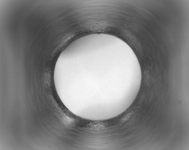 X0000059240113200511111625