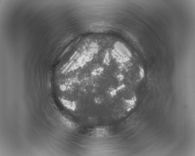 X0000059240114200511111625