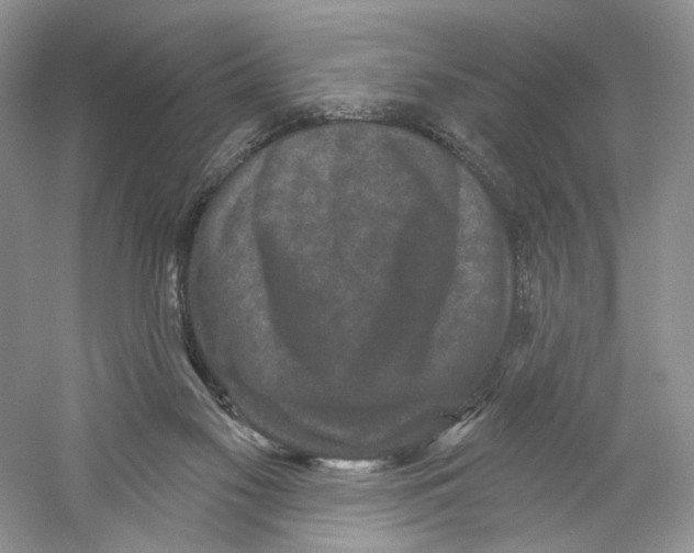 X0000059240117200511111625