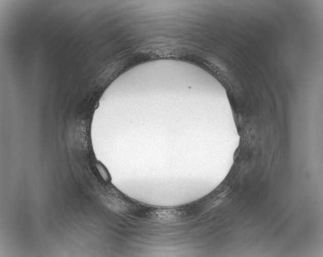 X0000059240121200511111625