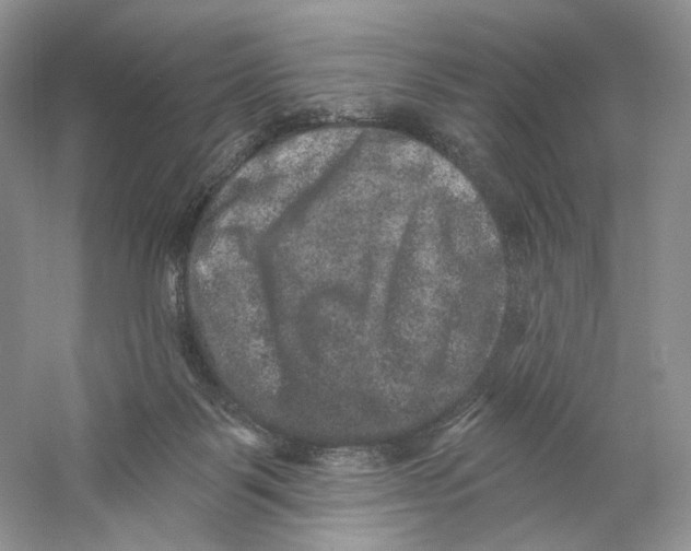 X0000059240123200511111625