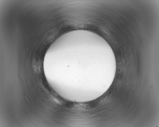 X0000059240125200511111625