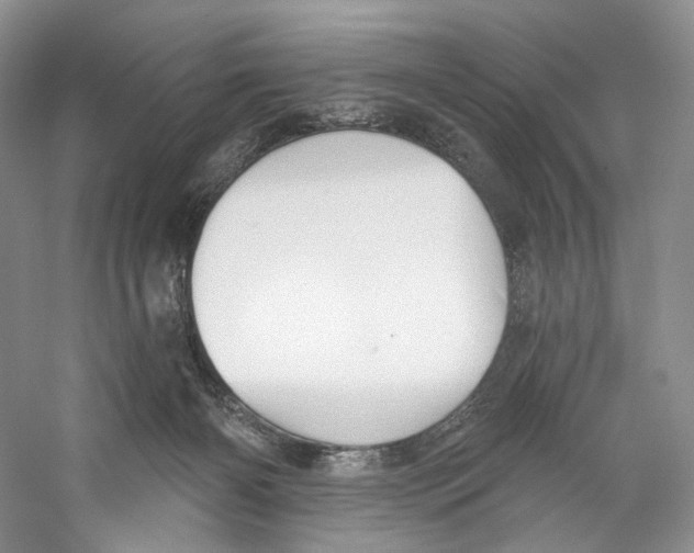 X0000059240126200511111625
