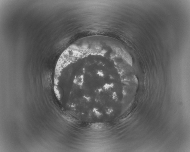 X0000059240127200511111625