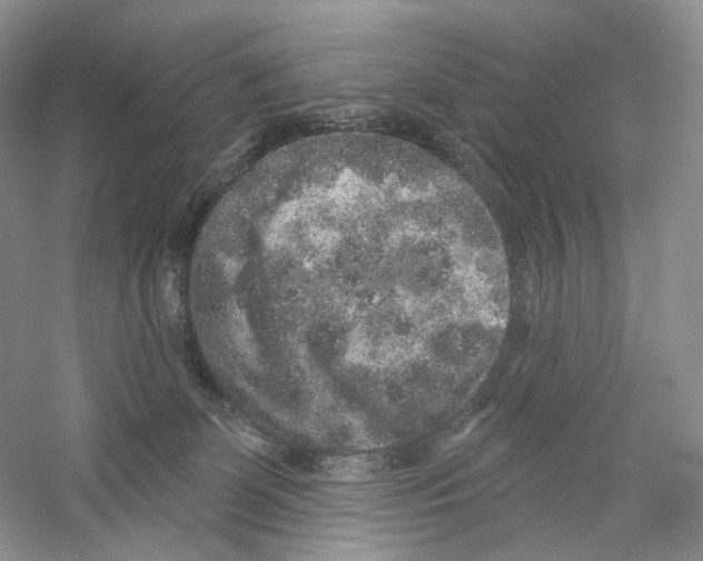 X0000059240131200511111625
