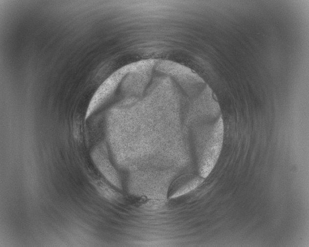 X0000059240138200511111625