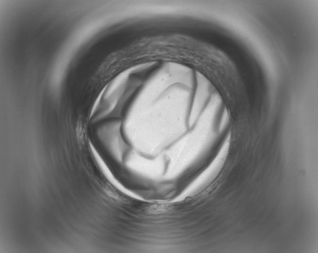 X0000059240142200511111625