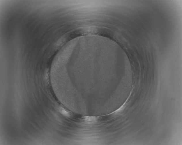 X0000059240144200511111625