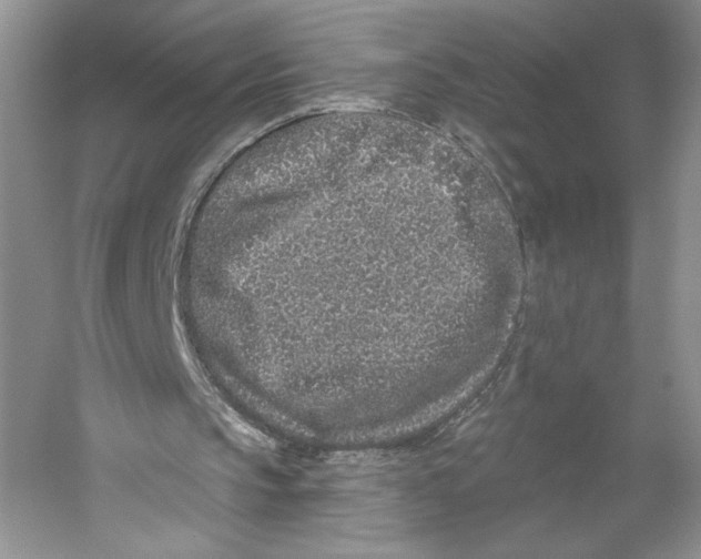 X0000059240145200511111624