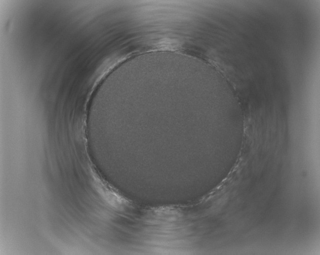 X0000059240146200511111624