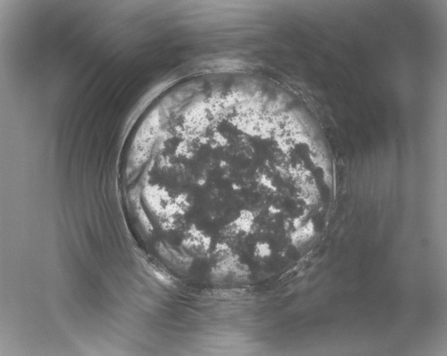 X0000059240147200511111624