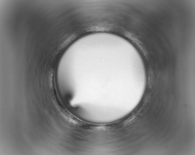 X0000059240153200511111624
