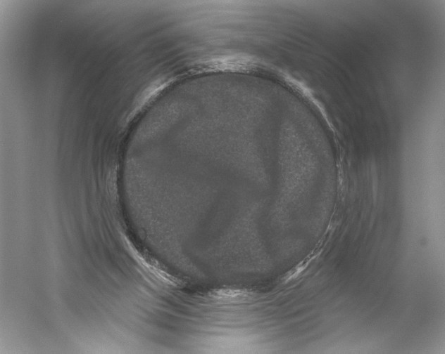 X0000059240154200511111624