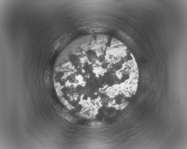 X0000059240169200511111624
