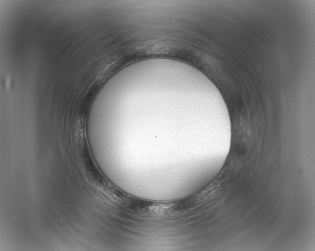 X0000059240172200511111624