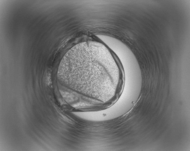 X0000059240175200511111624
