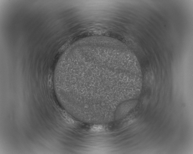 X0000059240177200511111624