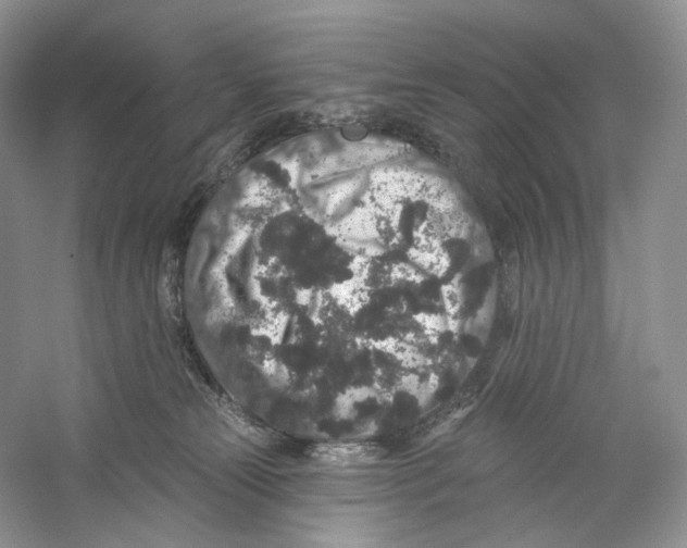 X0000059240181200511111624