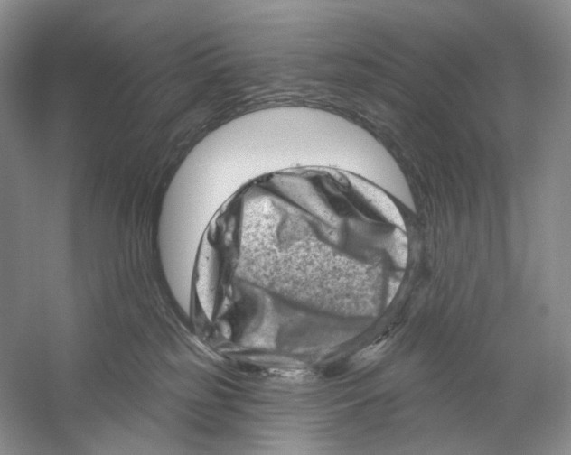 X0000059240185200511111624