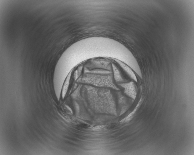X0000059240186200511111624