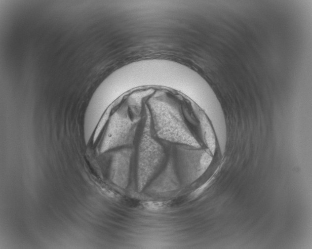 X0000059240187200511111624