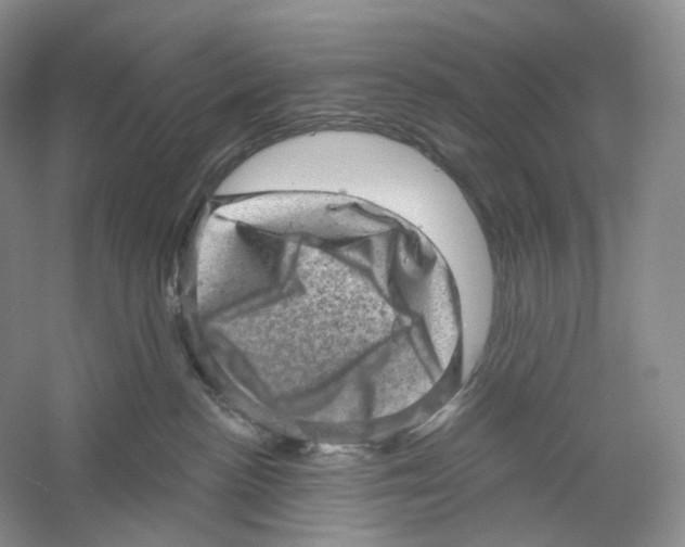 X0000059240188200511111625