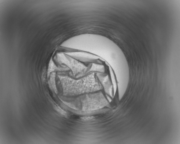 X0000059240189200511111625