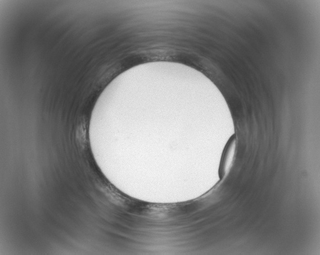 X0000059240190200511111625