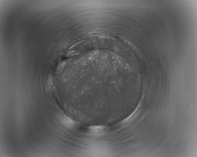 X0000059240192200511111625