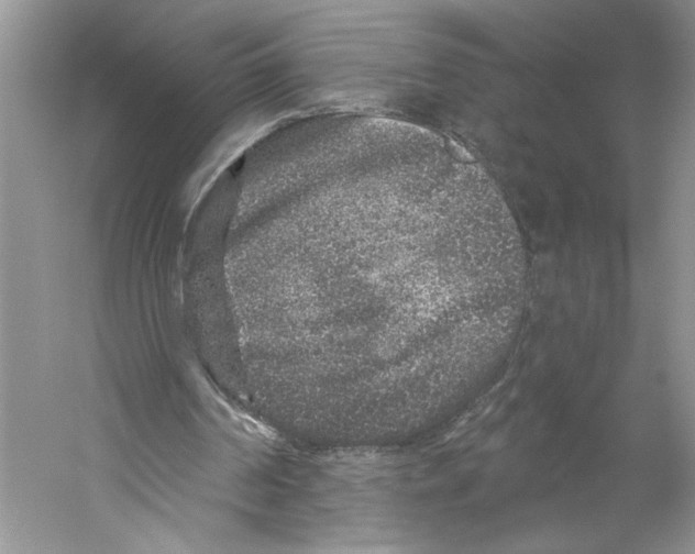X0000059240194200511111624