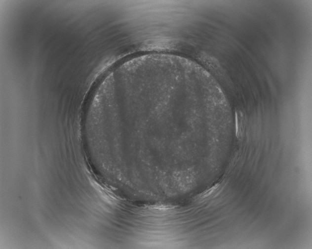 X0000059240204200511111624