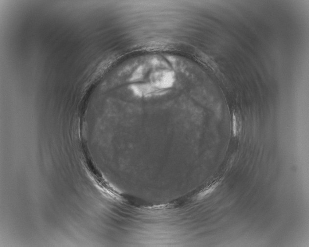 X0000059240205200511111624