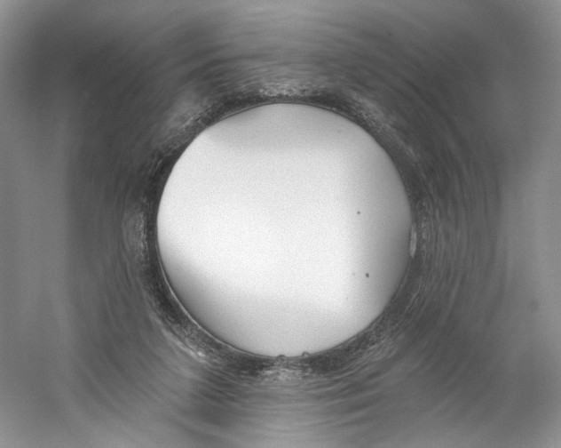 X0000059240211200511111623