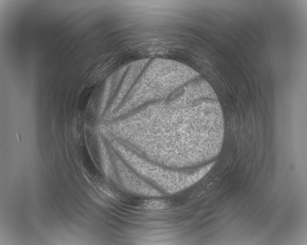 X0000059240218200511111623