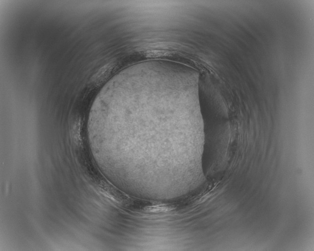 X0000059240219200511111623