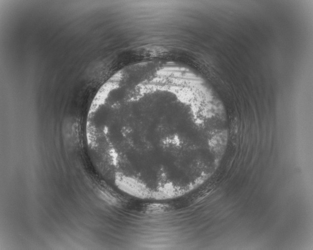 X0000059240222200511111623