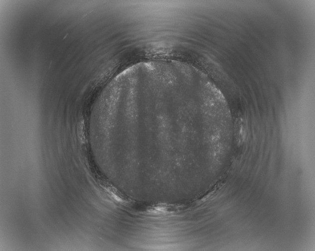 X0000059240224200511111623