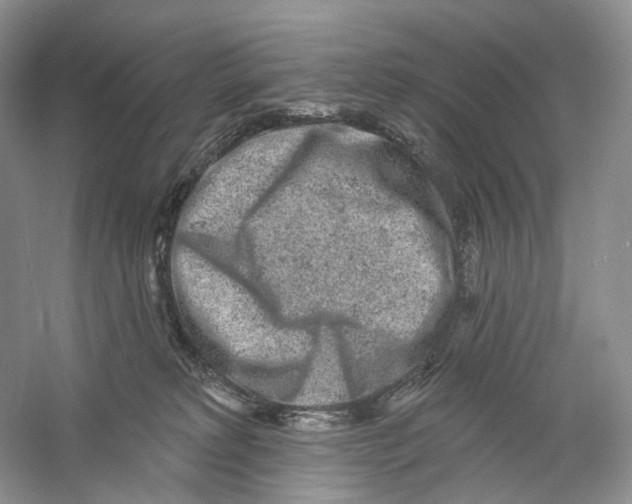 X0000059240229200511111623