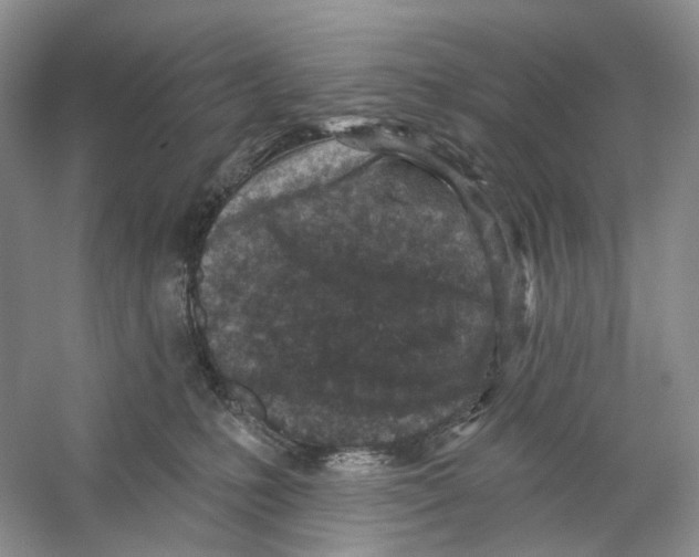 X0000059240231200511111623