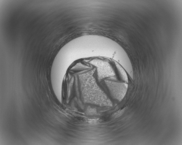 X0000059240233200511111623