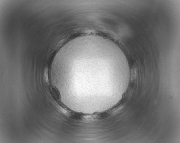 X0000059240238200511111623