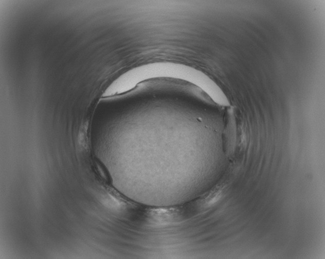 X0000059240239200511111623