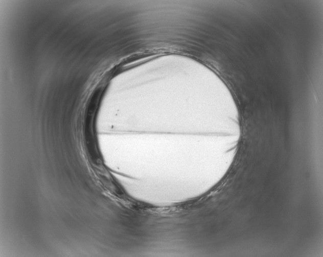X0000059240241200511111622
