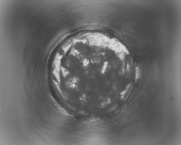 X0000059240243200511111622