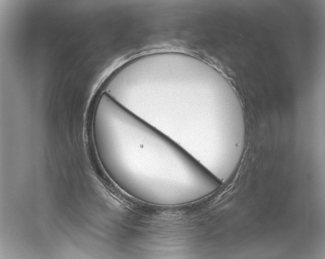 X0000059240248200511111622