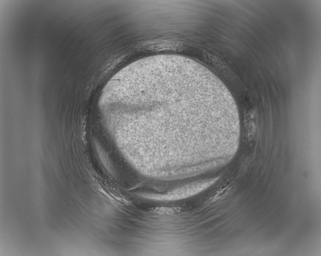 X0000059240255200511111622