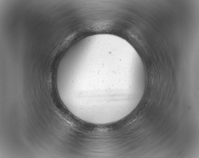 X0000059240260200511111622