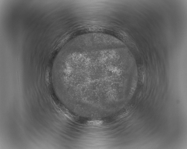 X0000059240266200511111623