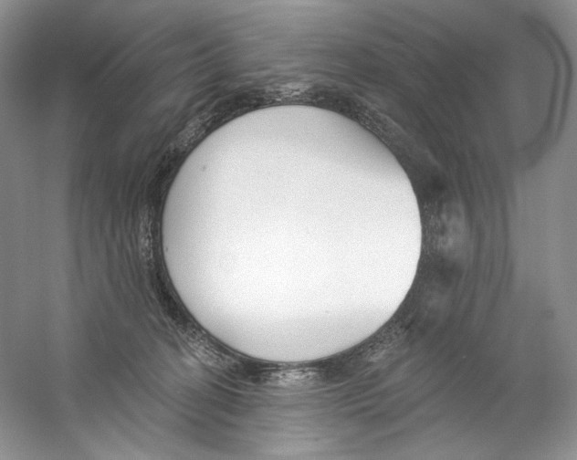 X0000059240274200511111623