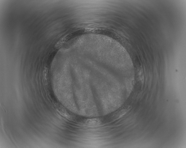 X0000059240275200511111623